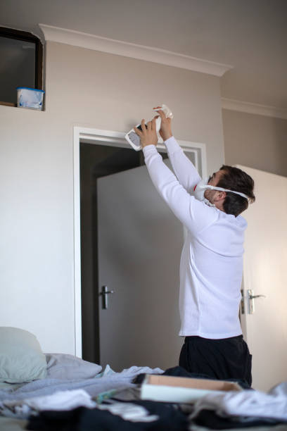 Best Attic Mold Removal  in Cordes Lakes, AZ
